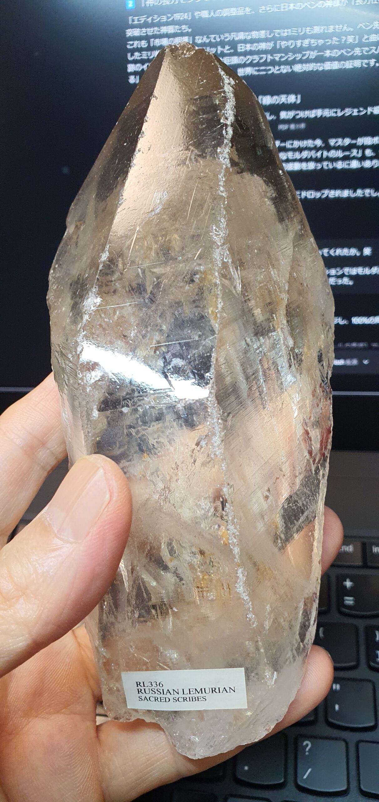 Russian Lemurian RL336