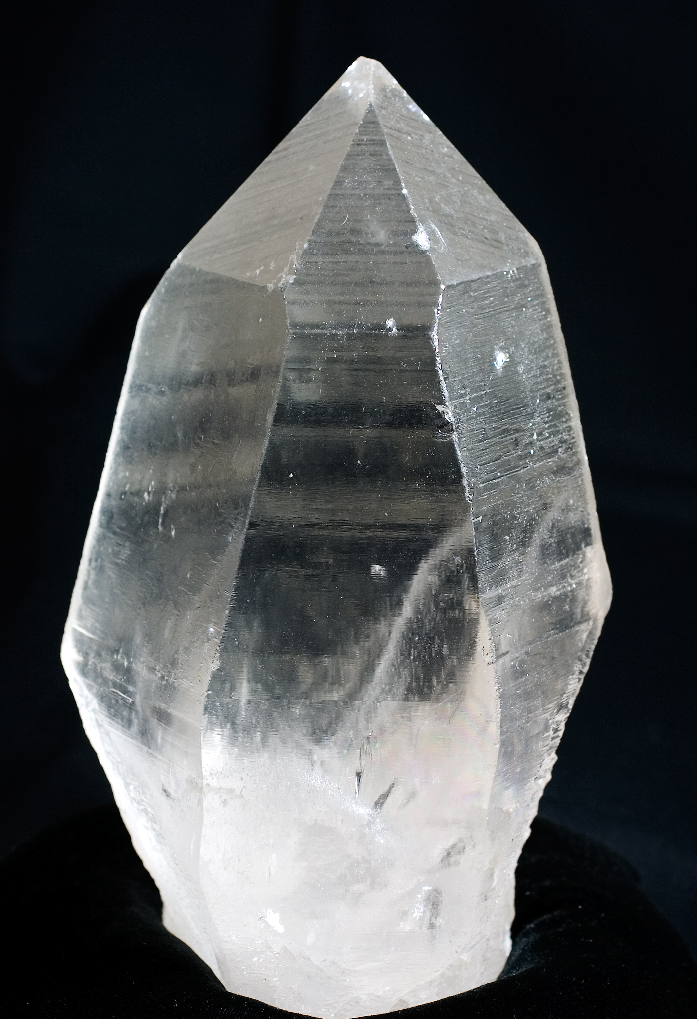 Russian Lemurian 2.1kg